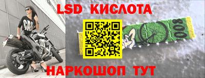 прущие грибы Заволжье