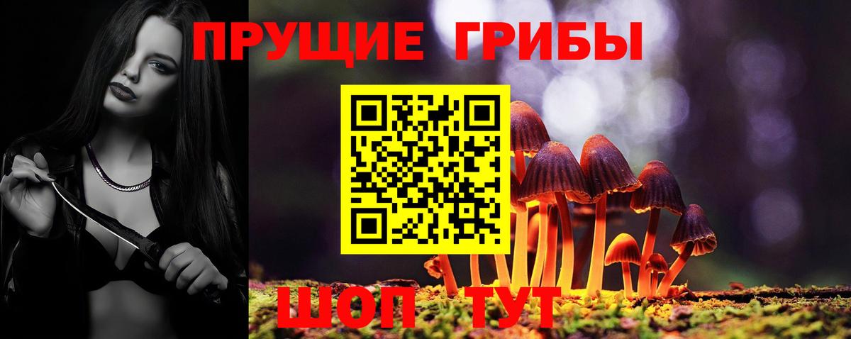 Псилоцибиновые грибы Psilocybe Кыштым