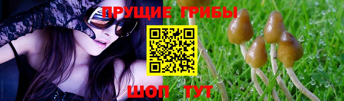 Кыштым  даркнет сайт  Вход с VPN  Псилоцибиновые грибы Psilocybe 